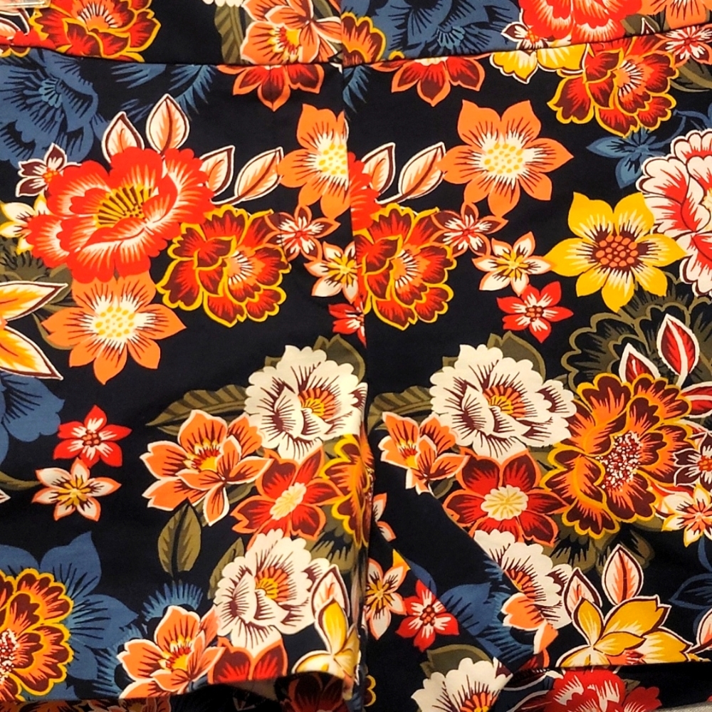 Wms LOFT shorts (6)